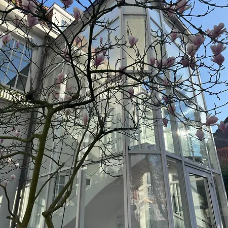 --- Studio19elf --- In Stadtmitte *